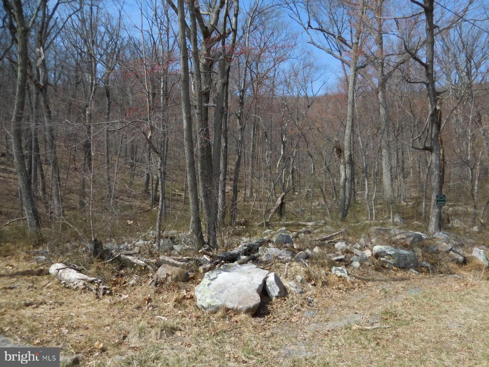 0 Tomahawk Winchester, VA 22602 - Photo 5 of 9 Lower level building site