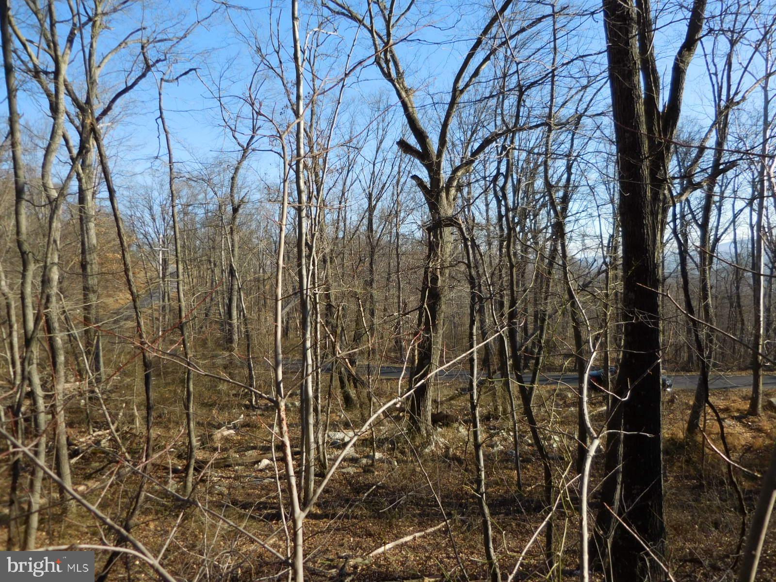 0 Tomahawk Winchester, VA 22602 - Photo 6 of 9