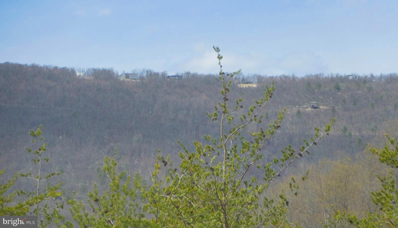 0 Tomahawk Winchester, VA 22602 - Photo 9 of 9 Life on top of the mountain !