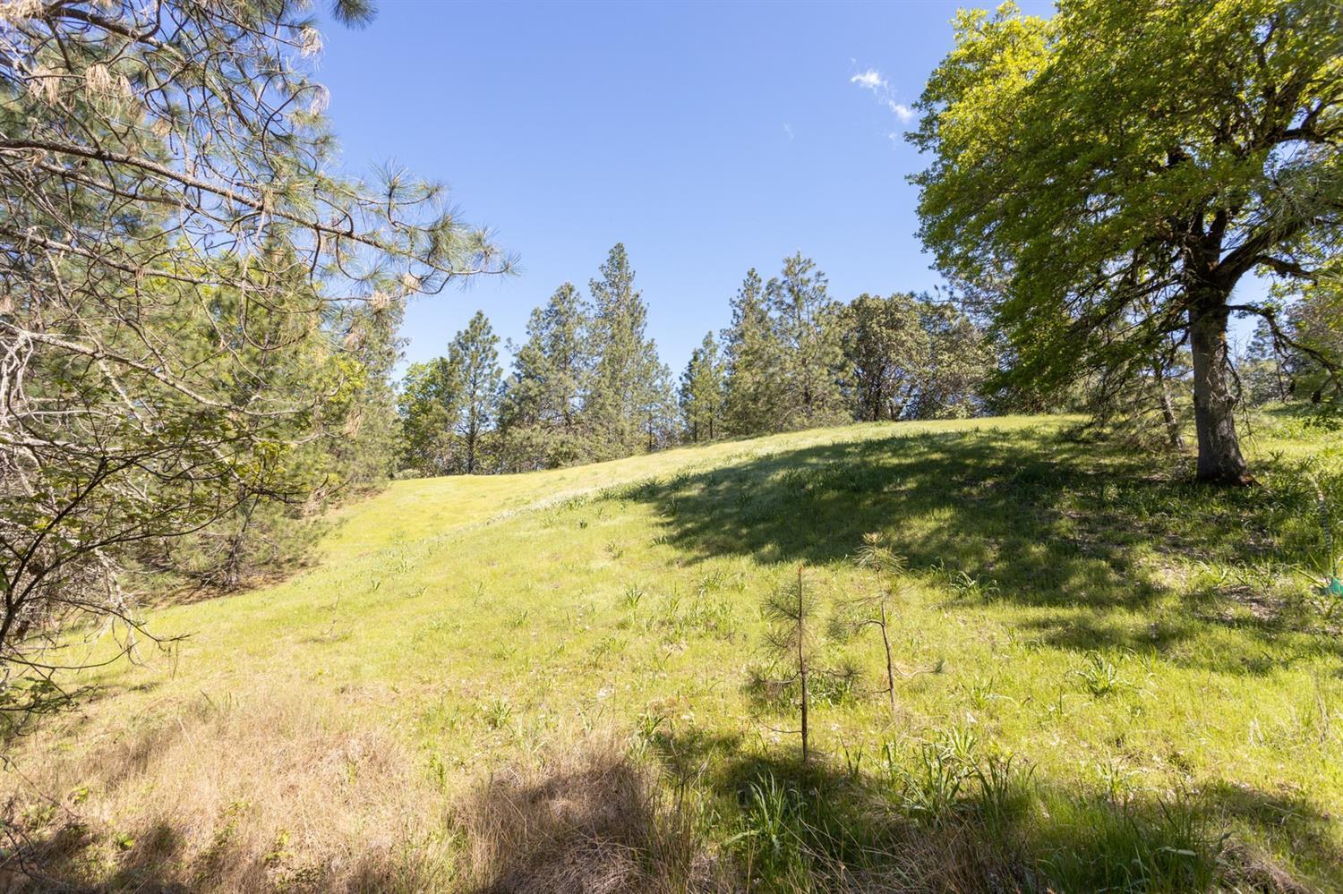 Tl100 Lower River Road Grants Pass, OR 97526 - Photo 34 of 35 a backyard of a house with lots of green space