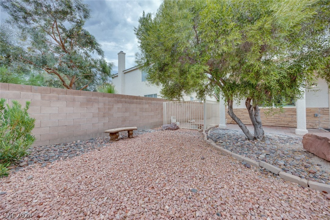 1700 Millstream Way Henderson, NV 89074 - Photo 73 of 78 Other side yard