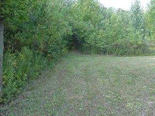 5014 East Reading Road Osseo, MI 49266 - Photo 6 of 10 901422-5.JPG