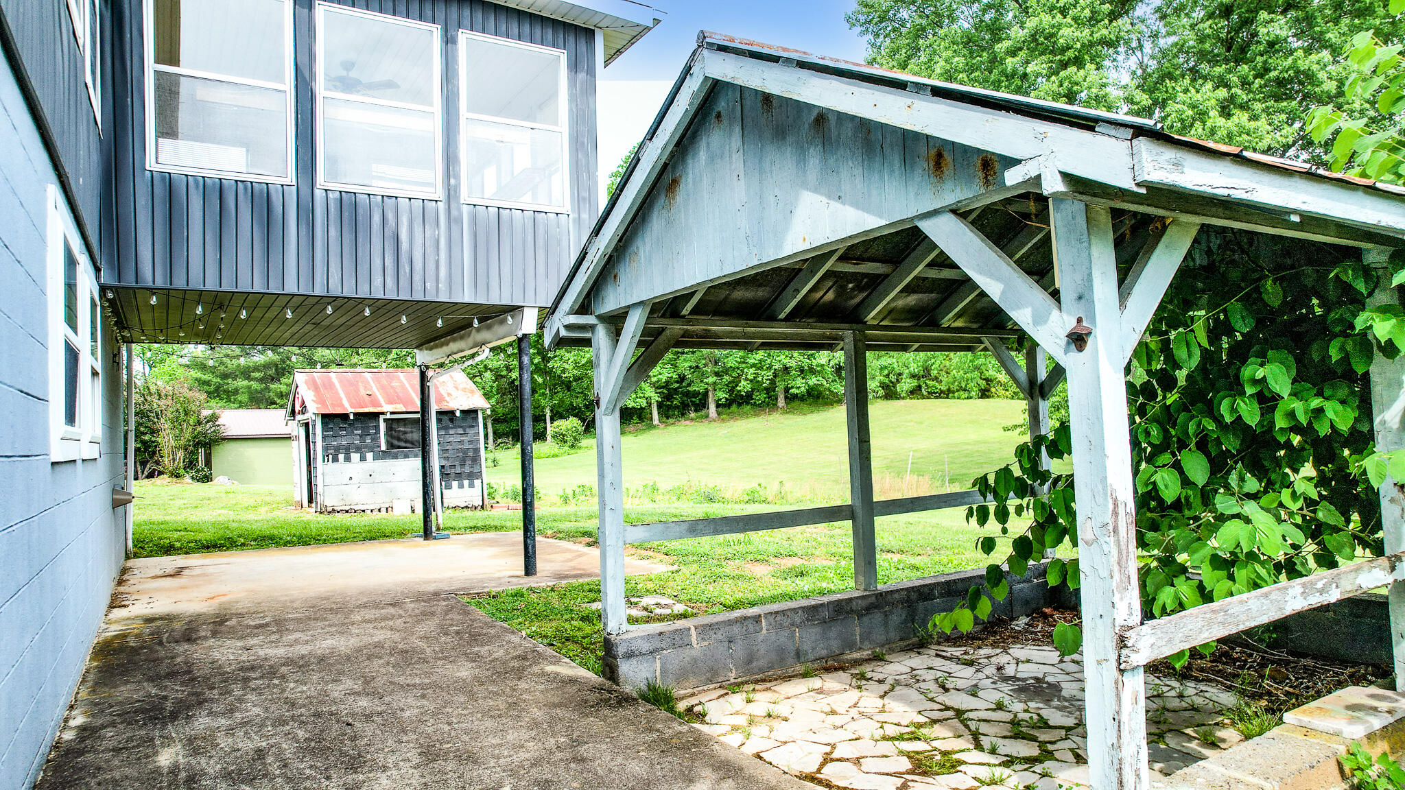 1910 Ripley Island Road Afton, TN 37616 - Photo 11 of 48 DJI_0048-Edit