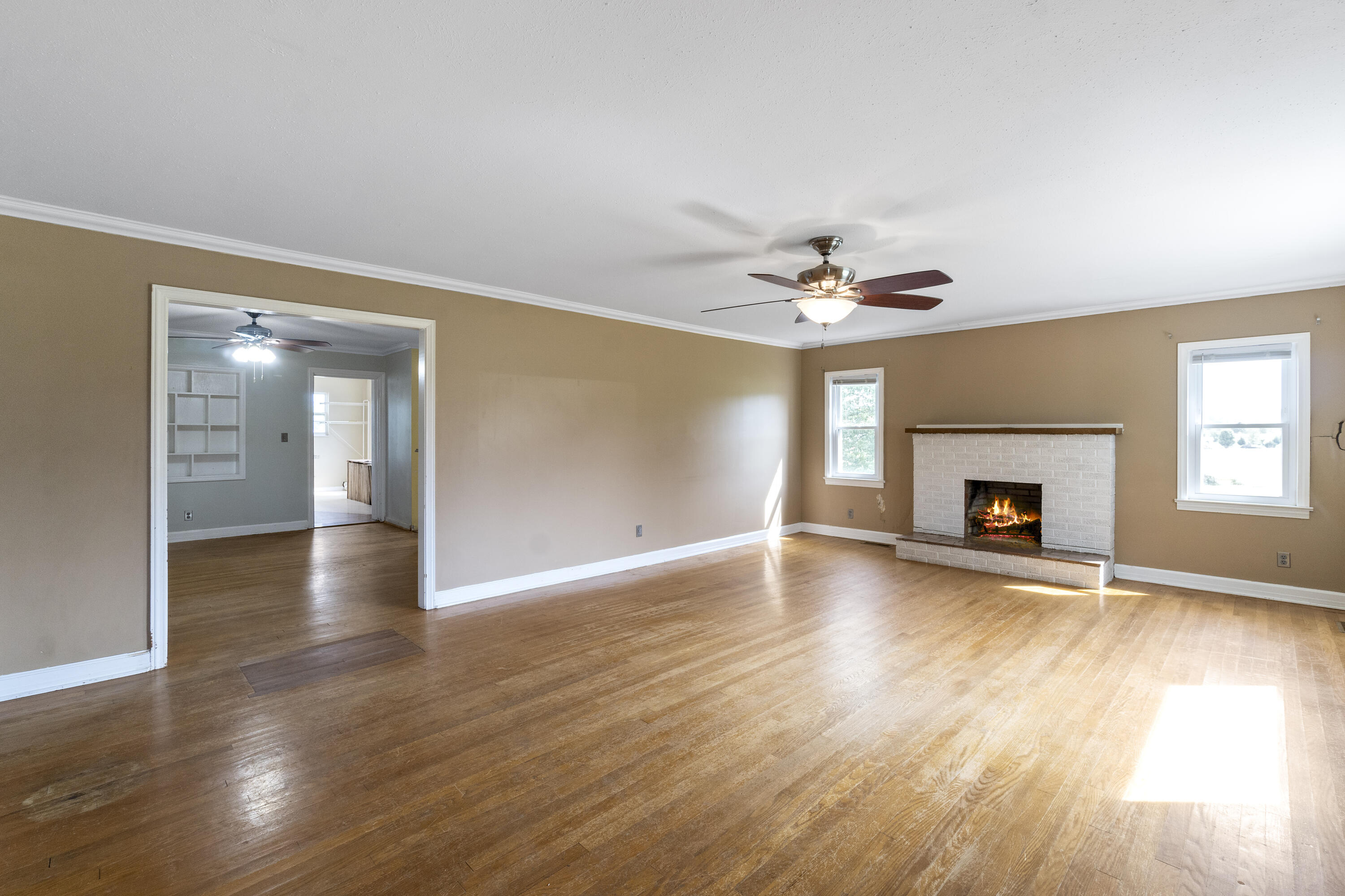 1910 Ripley Island Road Afton, TN 37616 - Photo 22 of 48 DSC06763