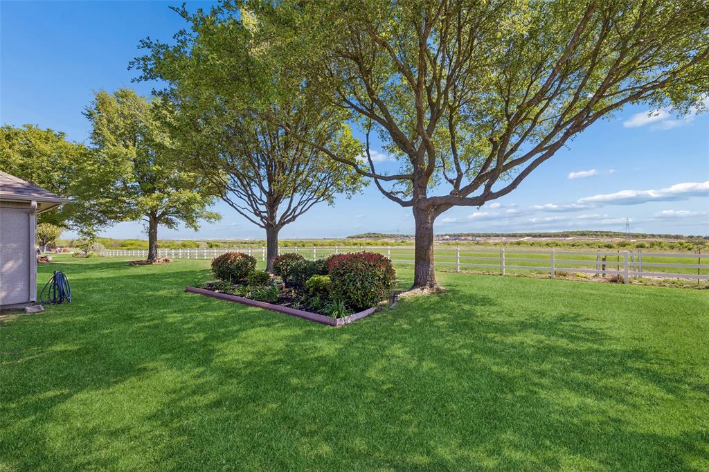 9221 Perimeter Street Denton, TX 76207 - Photo 30 of 36 a view of a garden with a tree