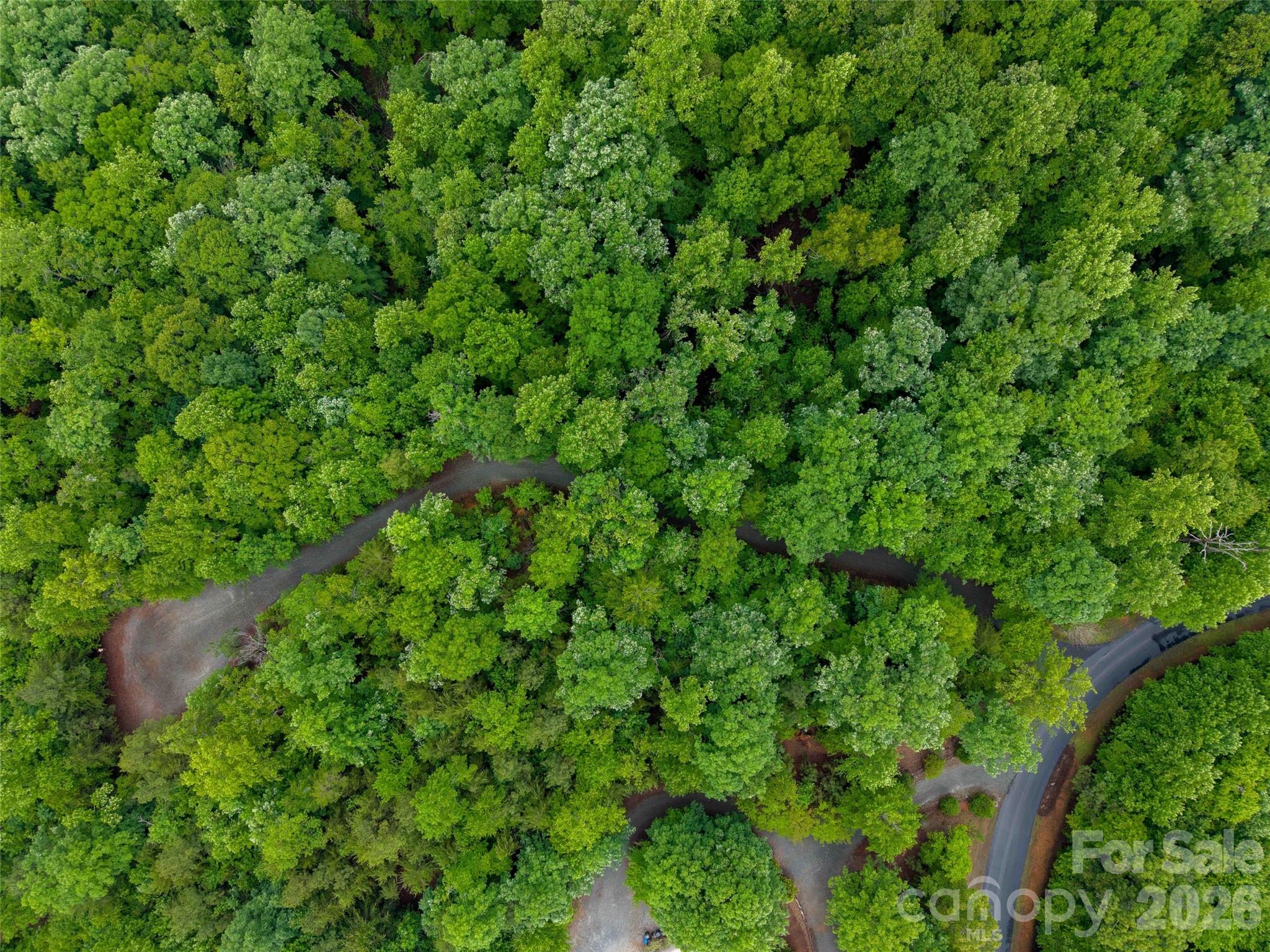 0 Bee Gee Drive Rutherfordton, NC 28139 - Photo 20 of 26