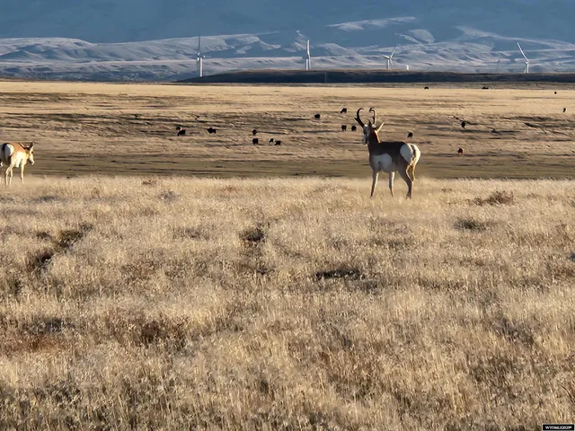 $55,000 | 220 Furio Casper Wy, Evansville, WY 82636