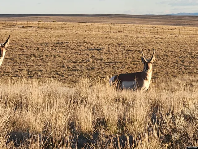 $55,000 | 220 Furio Casper Wy, Evansville, WY 82636