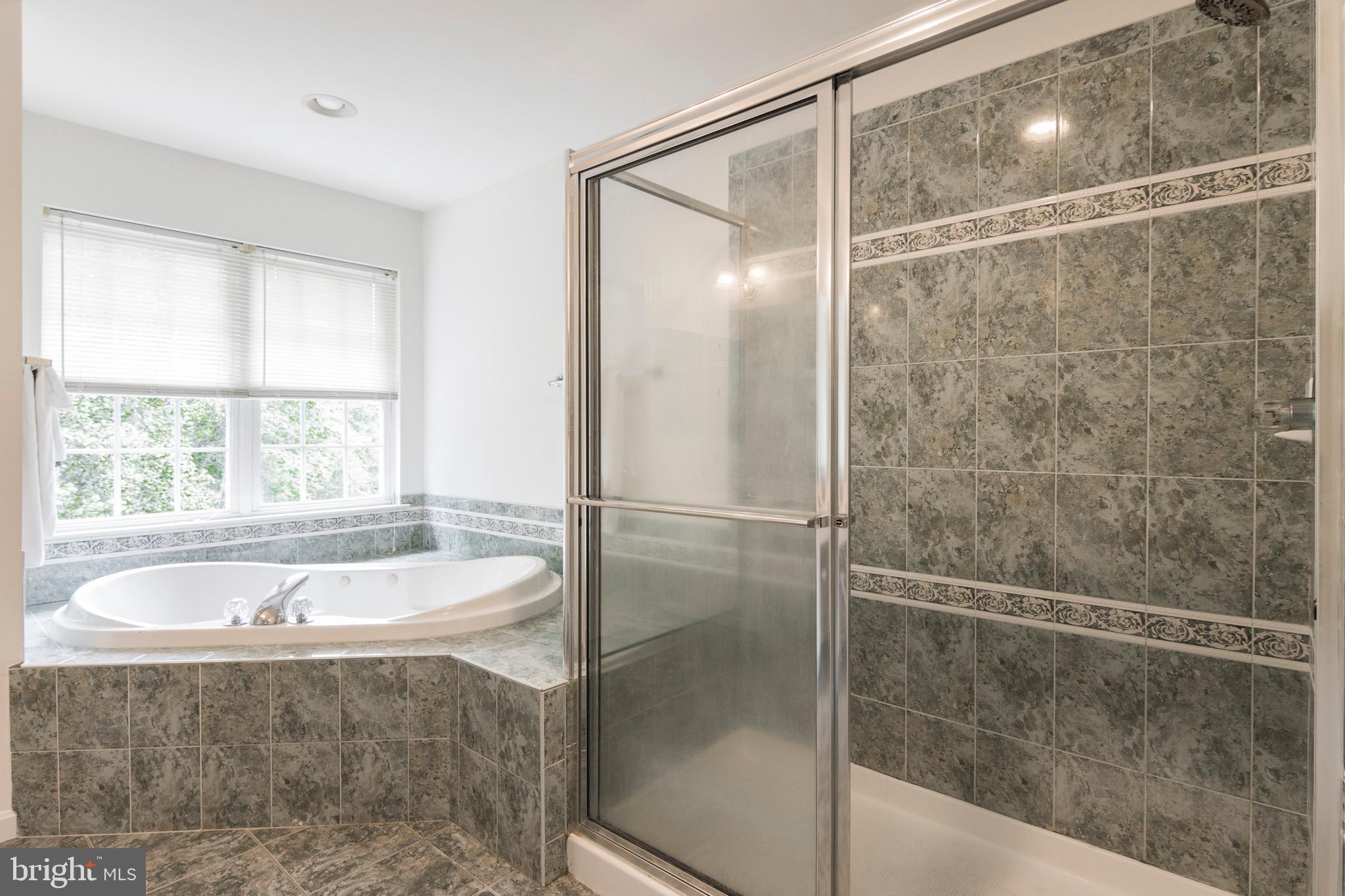 8640 Willow Run Road Windsor Mill, MD 21244 - Photo 22 of 37 Master Bath