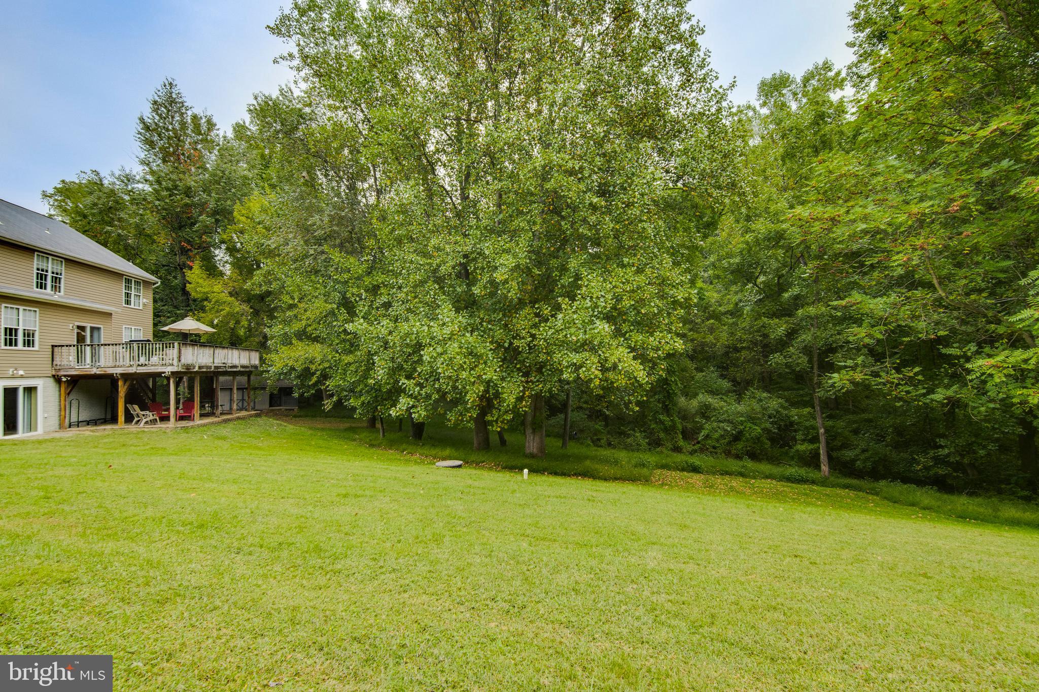 8640 Willow Run Road Windsor Mill, MD 21244 - Photo 35 of 37 Yard