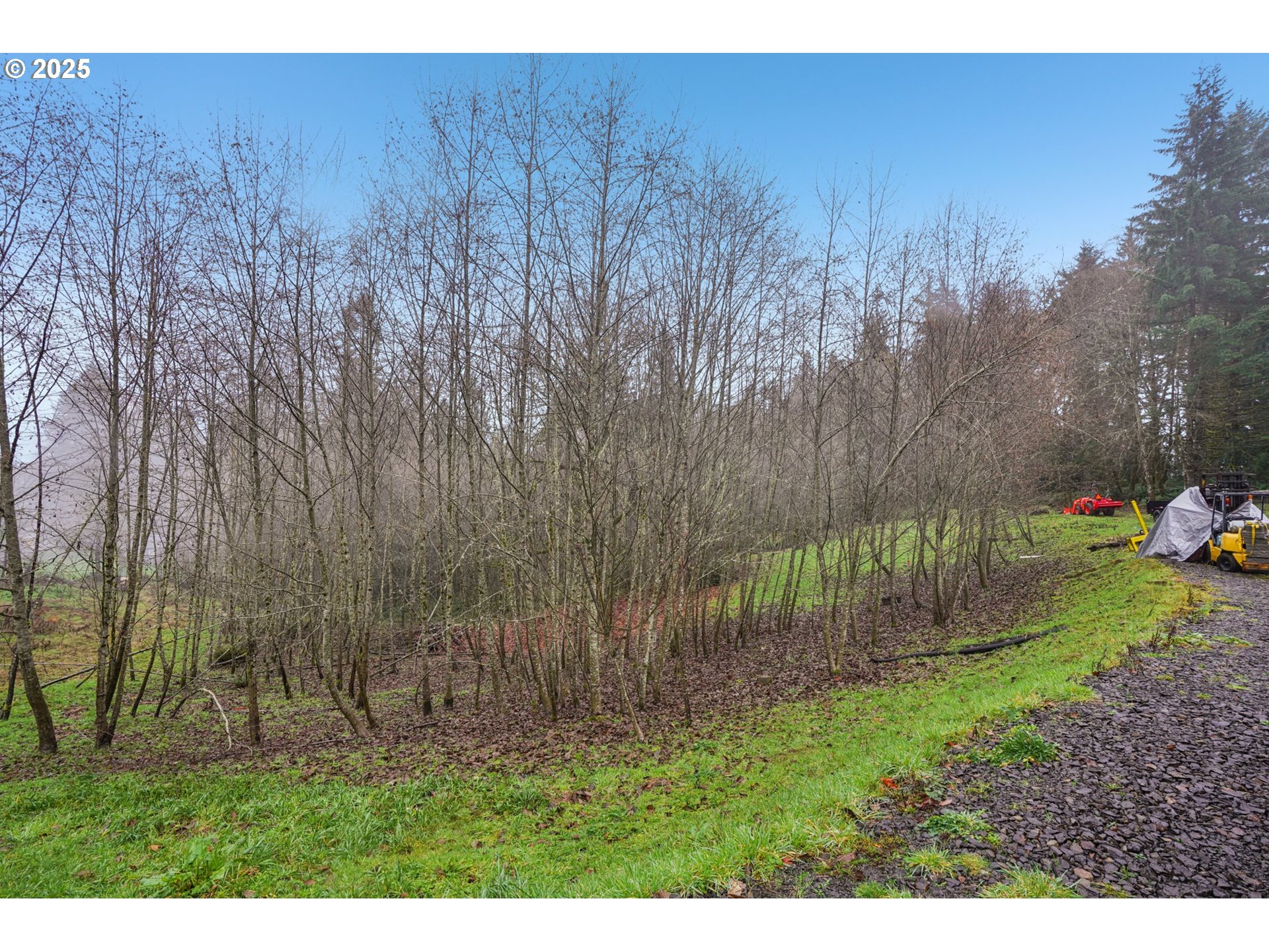 351 Stella Road Longview, WA 98632 - Photo 25 of 32 Gallery Image 25
