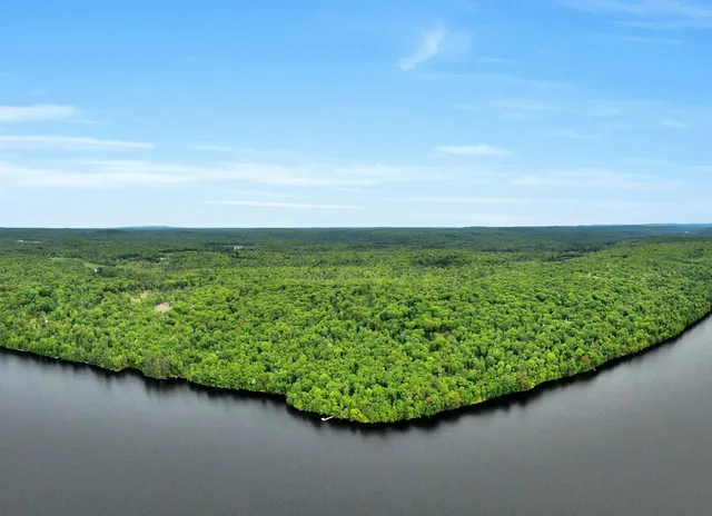 a view of a green field with lots of green space