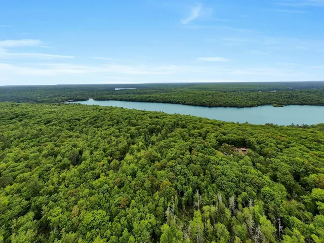 a view of a field with an ocean