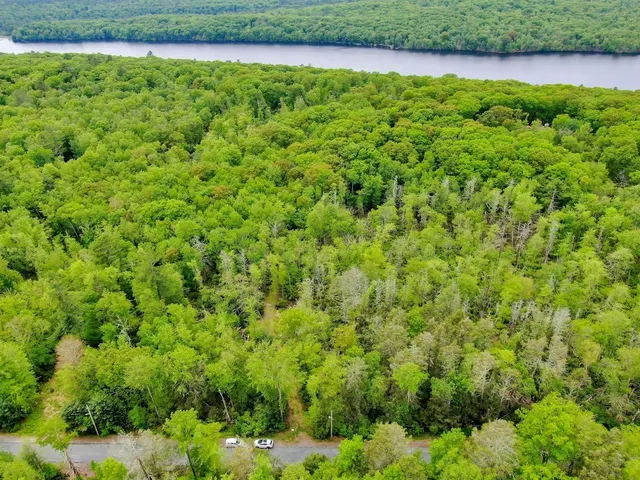 a view of a garden with a lake