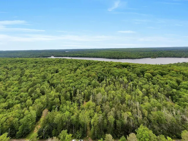 a view of a field with an ocean