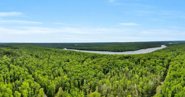 a view of a green field with lots of green space