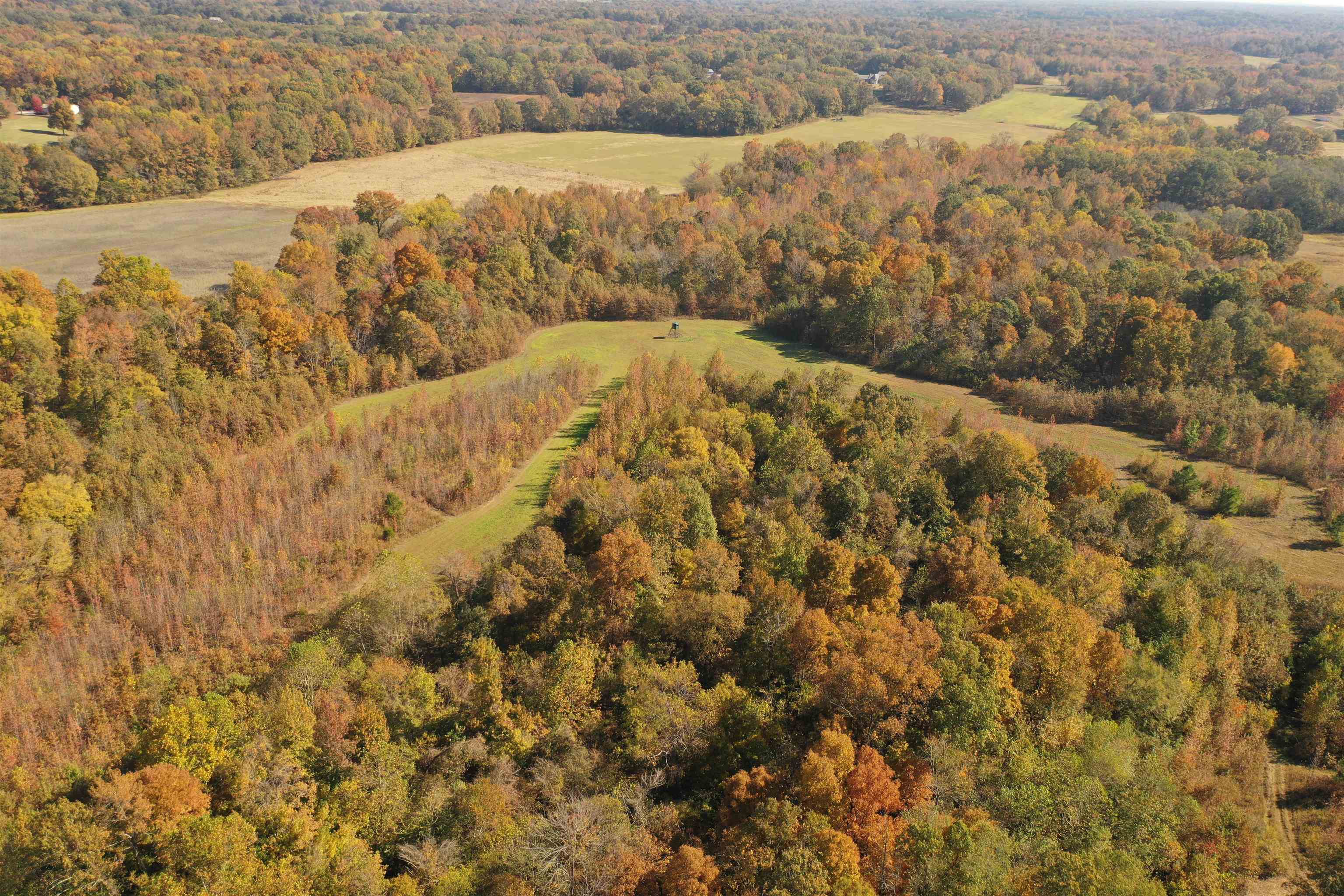 Mcfadden Road Oakland, TN 38060 - Photo 11 of 29