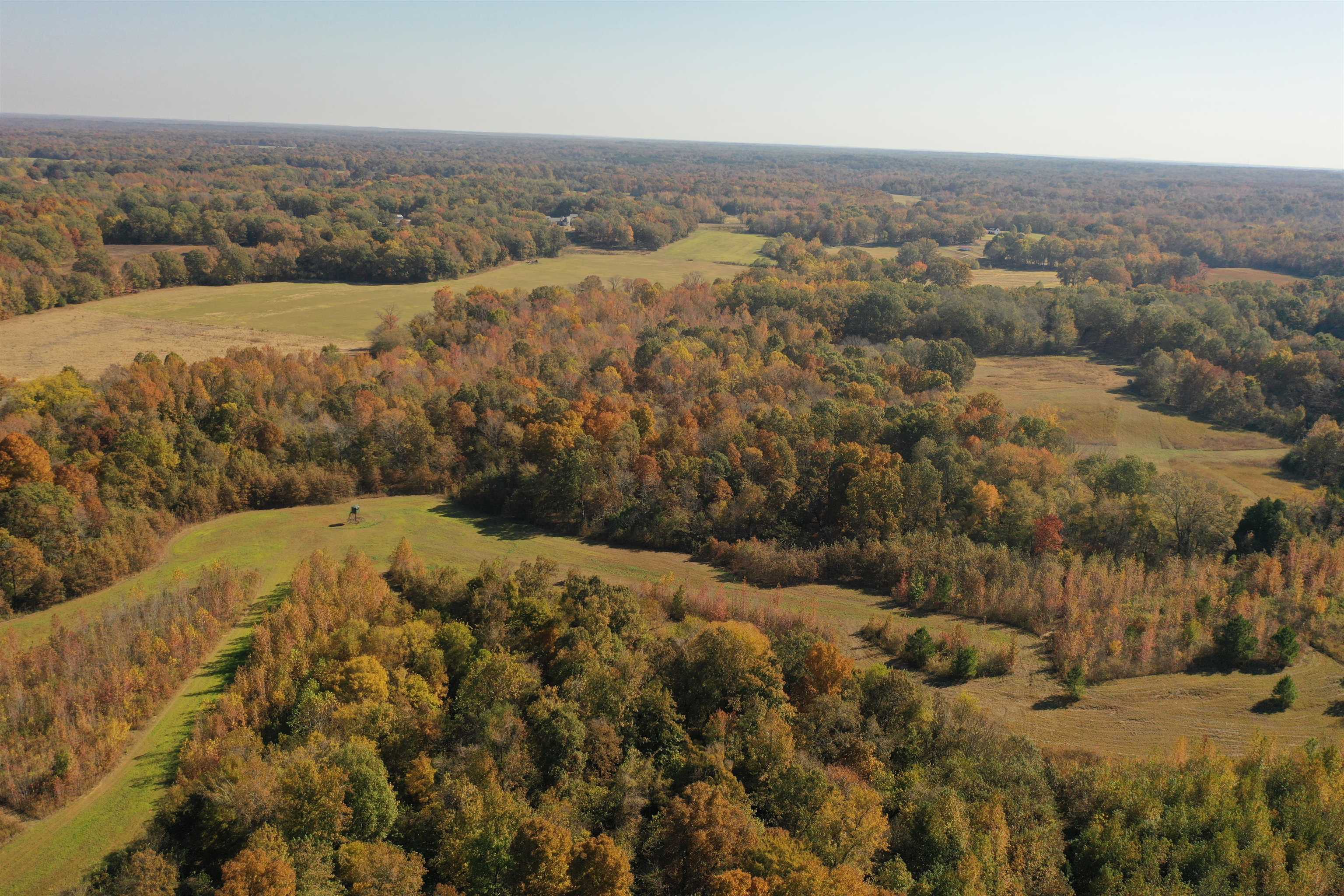 Mcfadden Road Oakland, TN 38060 - Photo 12 of 29 view of city and mountain