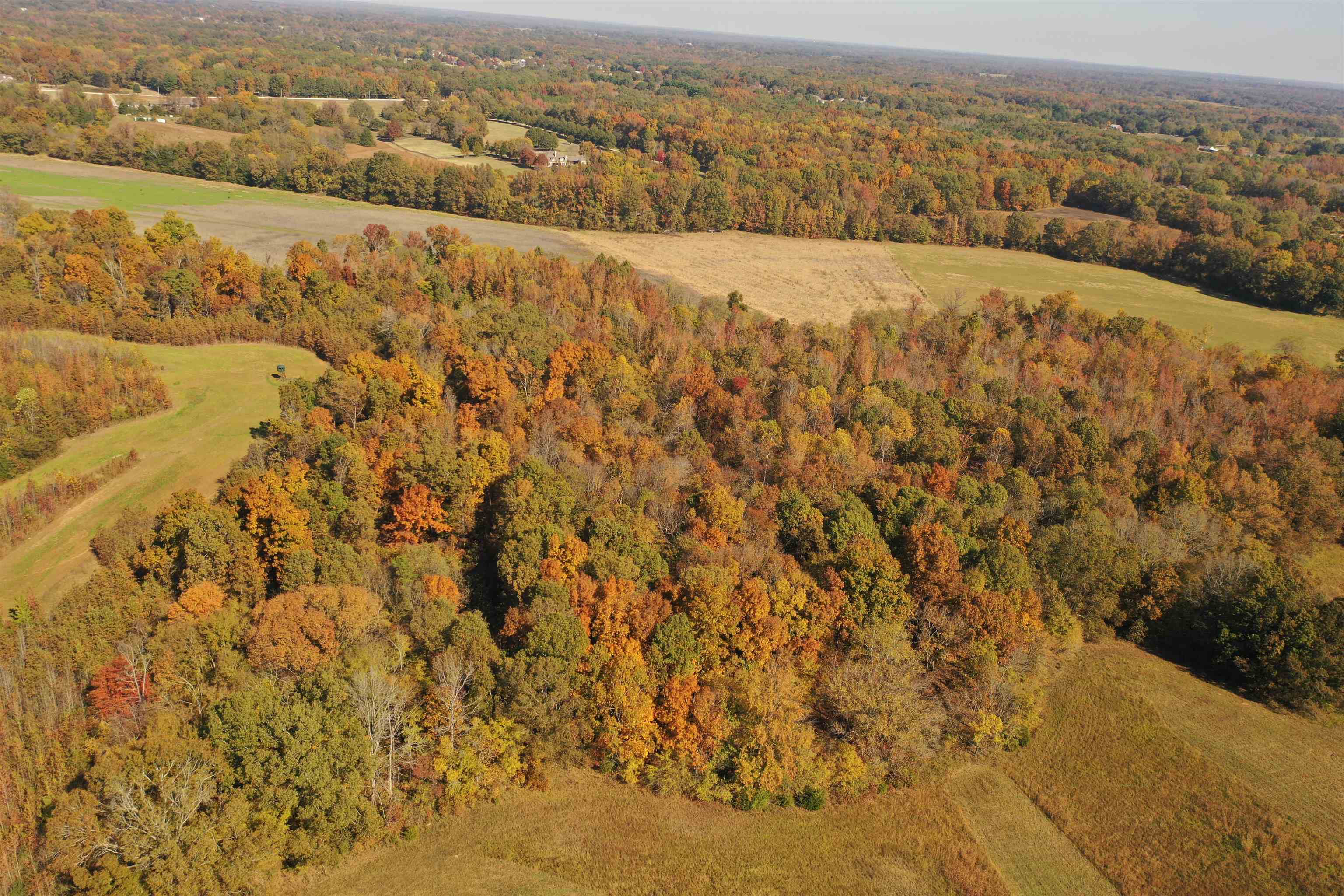 Mcfadden Road Oakland, TN 38060 - Photo 16 of 29 view of city and ocean
