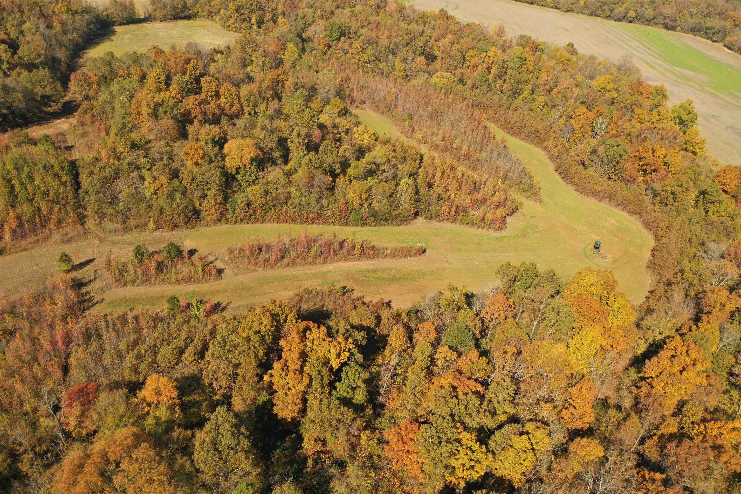 Mcfadden Road Oakland, TN 38060 - Photo 17 of 29 a view of water covered with snow