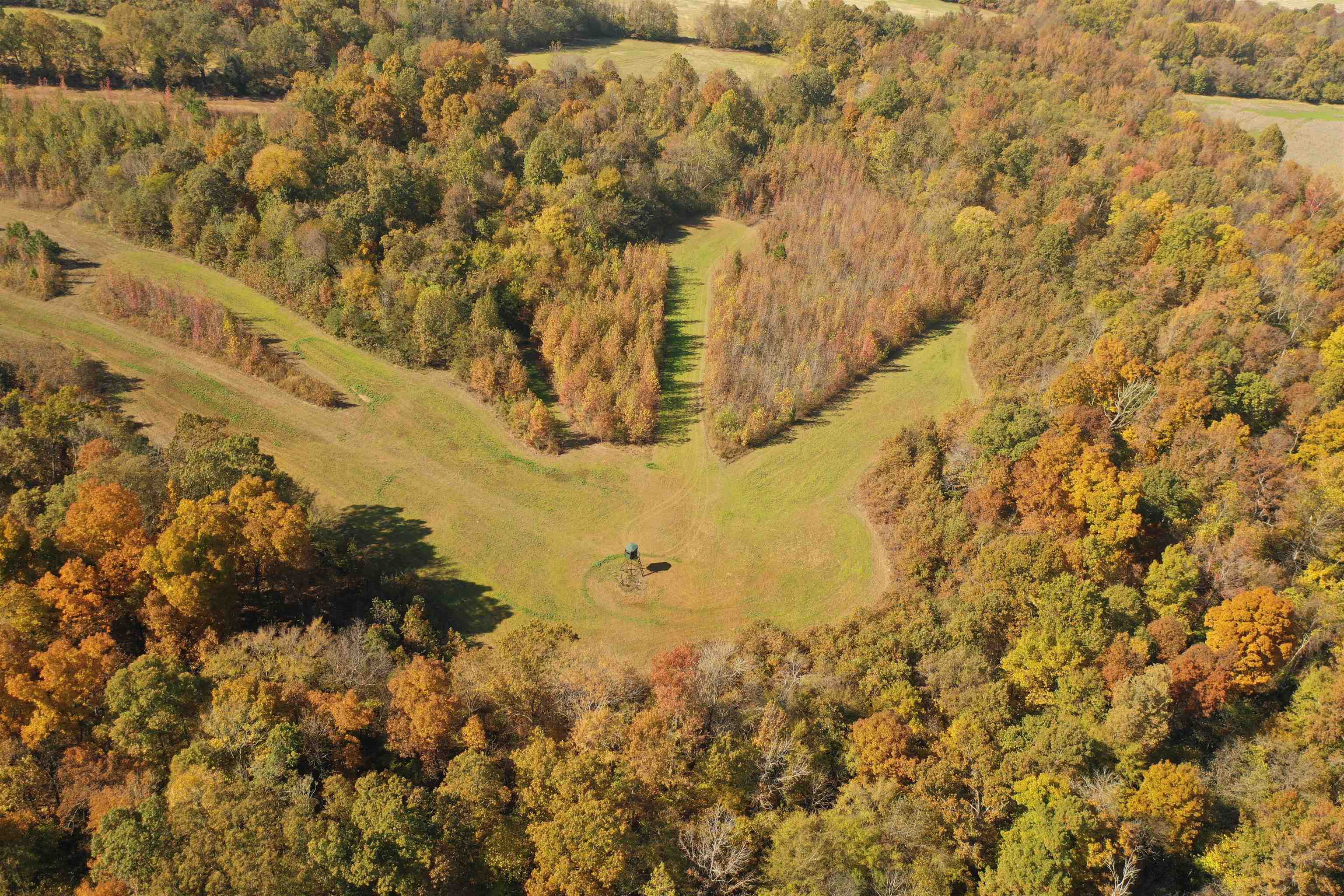 Mcfadden Road Oakland, TN 38060 - Photo 18 of 29