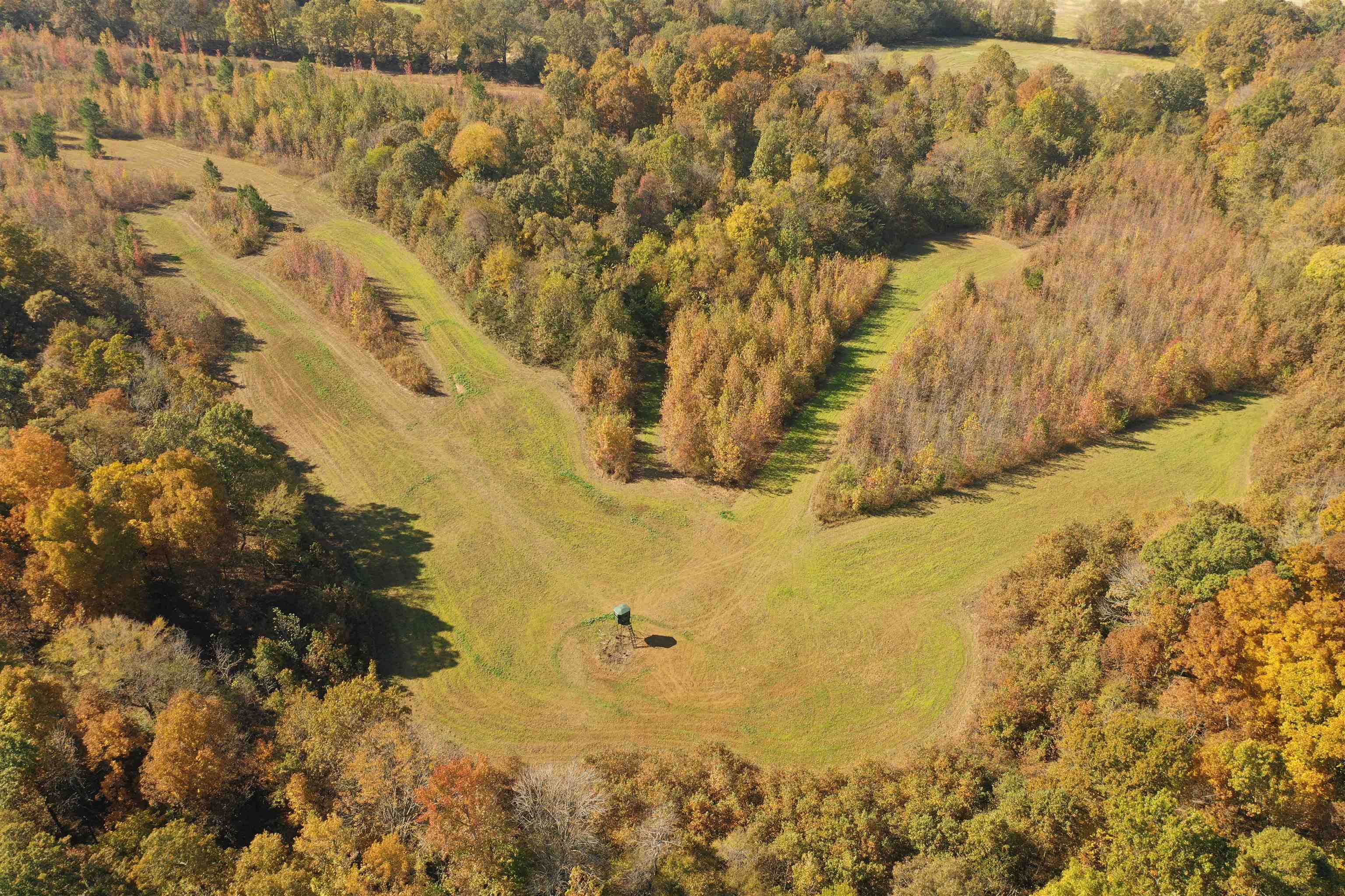 Mcfadden Road Oakland, TN 38060 - Photo 19 of 29 a view of residential houses