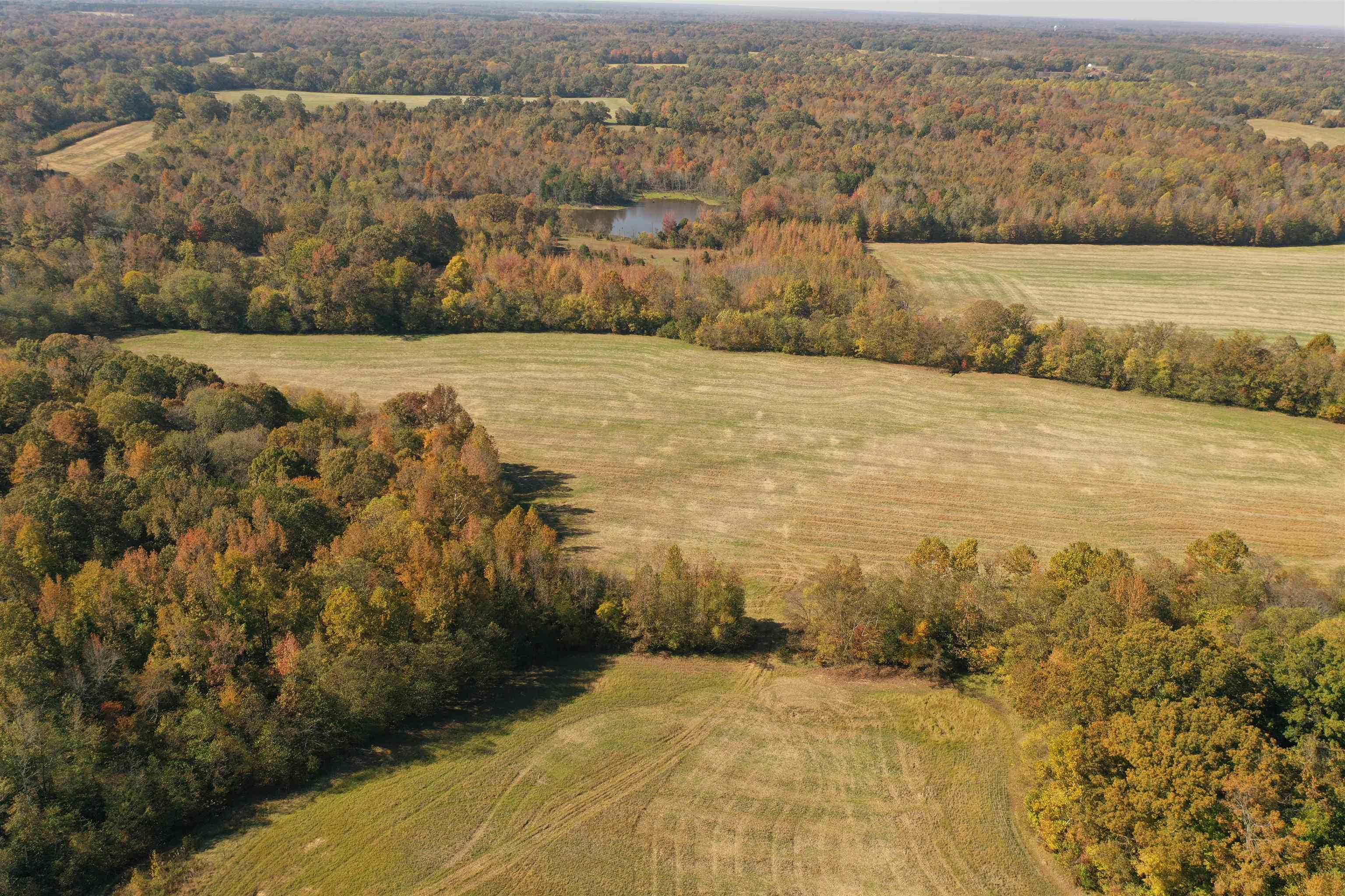 Mcfadden Road Oakland, TN 38060 - Photo 20 of 29 a view of an ocean