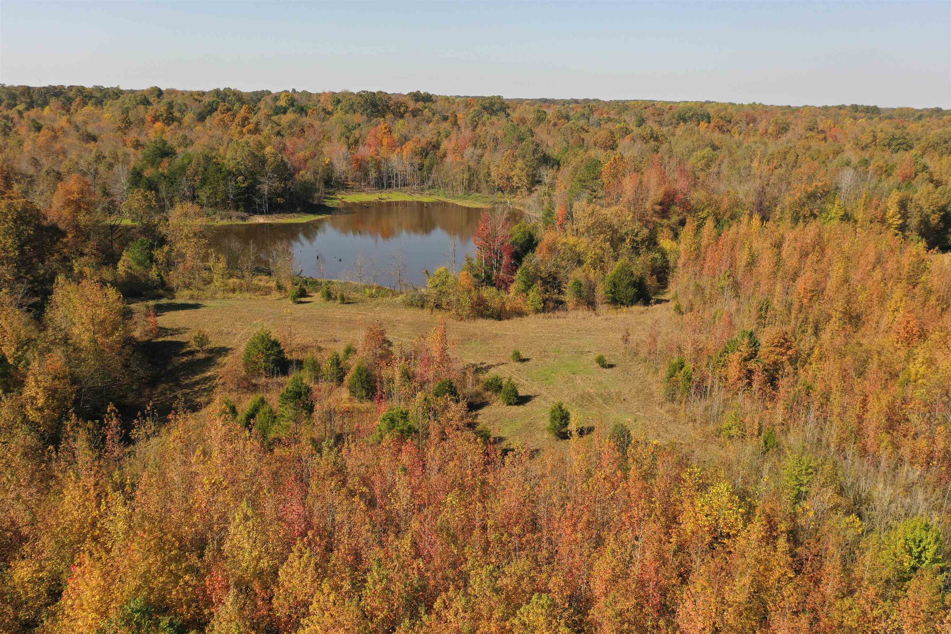 Mcfadden Road Oakland, TN 38060 - Photo 2 of 29 a view of lake with green space