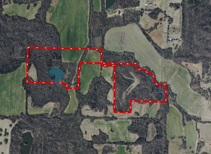 Mcfadden Road Oakland, TN 38060 - Photo 21 of 29