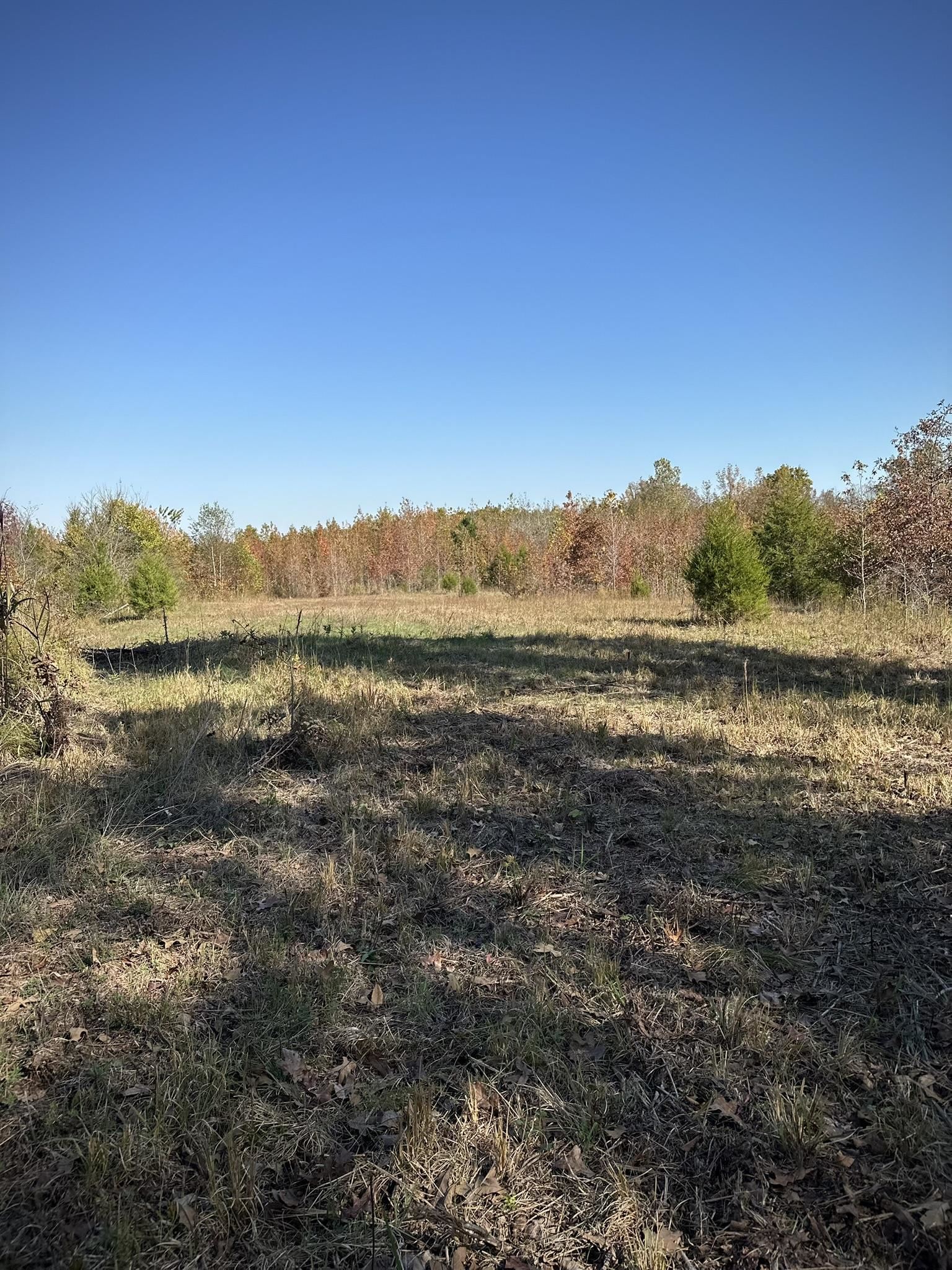 Mcfadden Road Oakland, TN 38060 - Photo 23 of 29 a view of lake and mountain