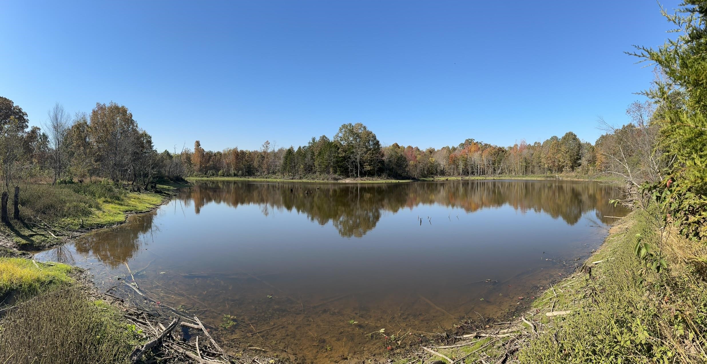 Mcfadden Road Oakland, TN 38060 - Photo 26 of 29 a view of a lake