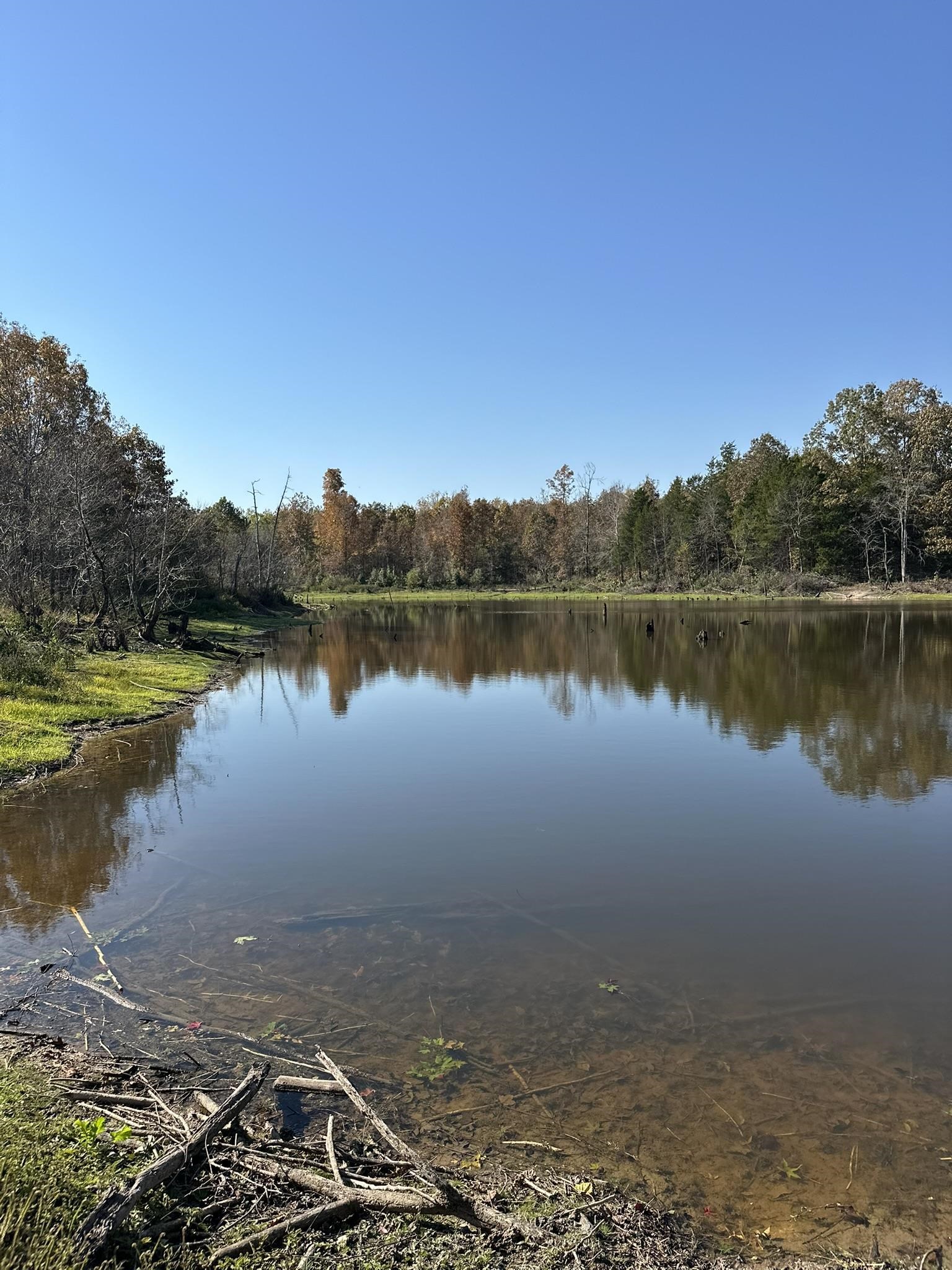 Mcfadden Road Oakland, TN 38060 - Photo 27 of 29 a view of a lake with a mountain in the background