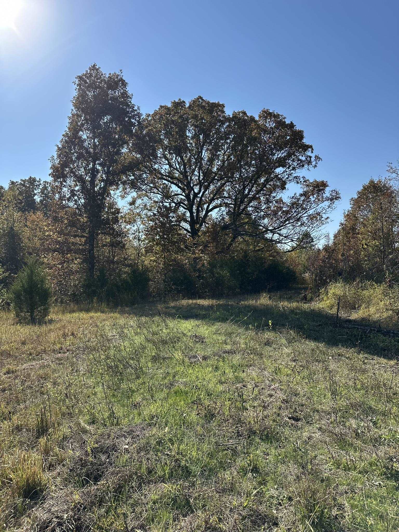 Mcfadden Road Oakland, TN 38060 - Photo 29 of 29 a view of lake with green space