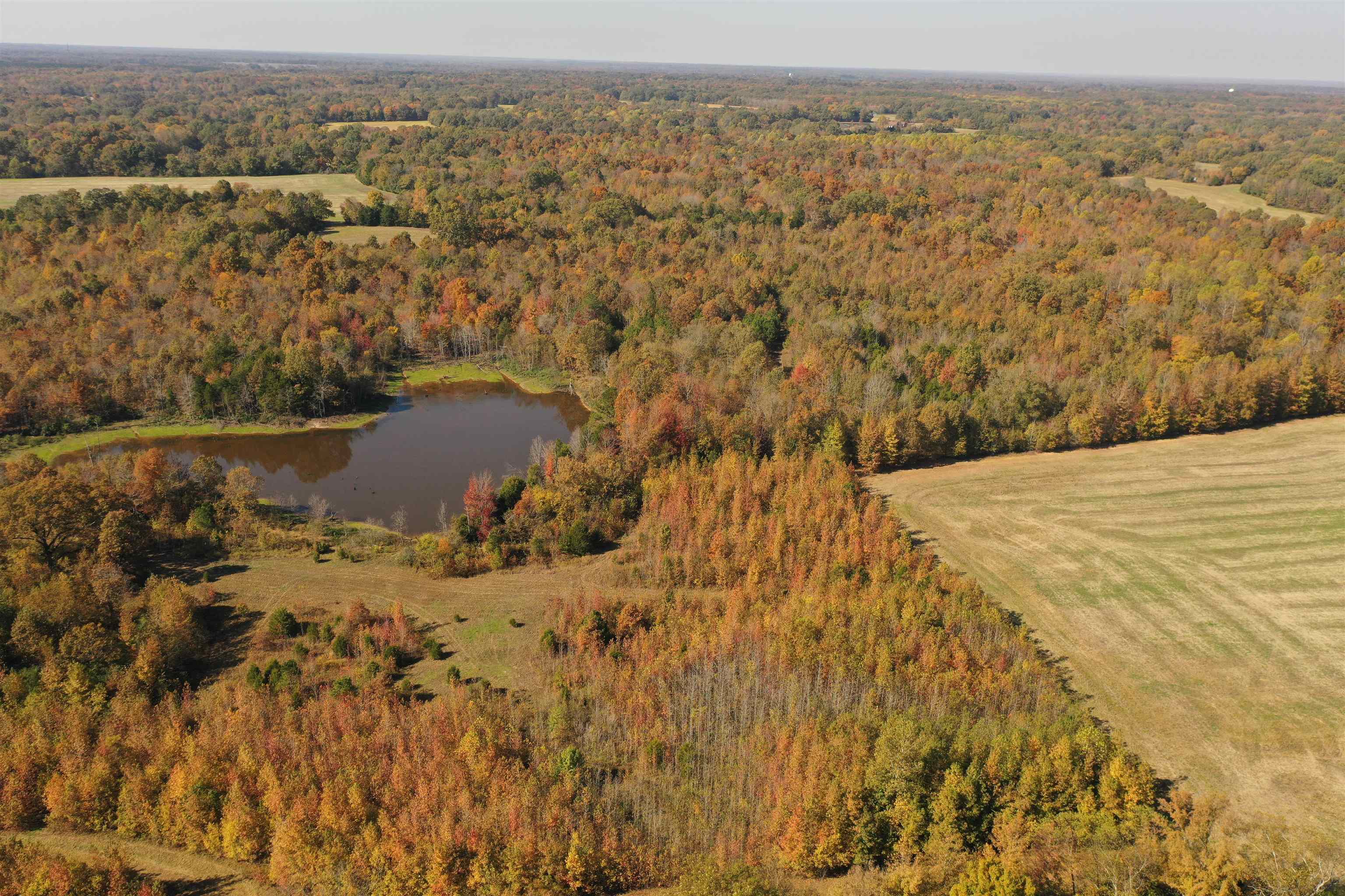 Mcfadden Road Oakland, TN 38060 - Photo 4 of 29 a view of lake and mountain