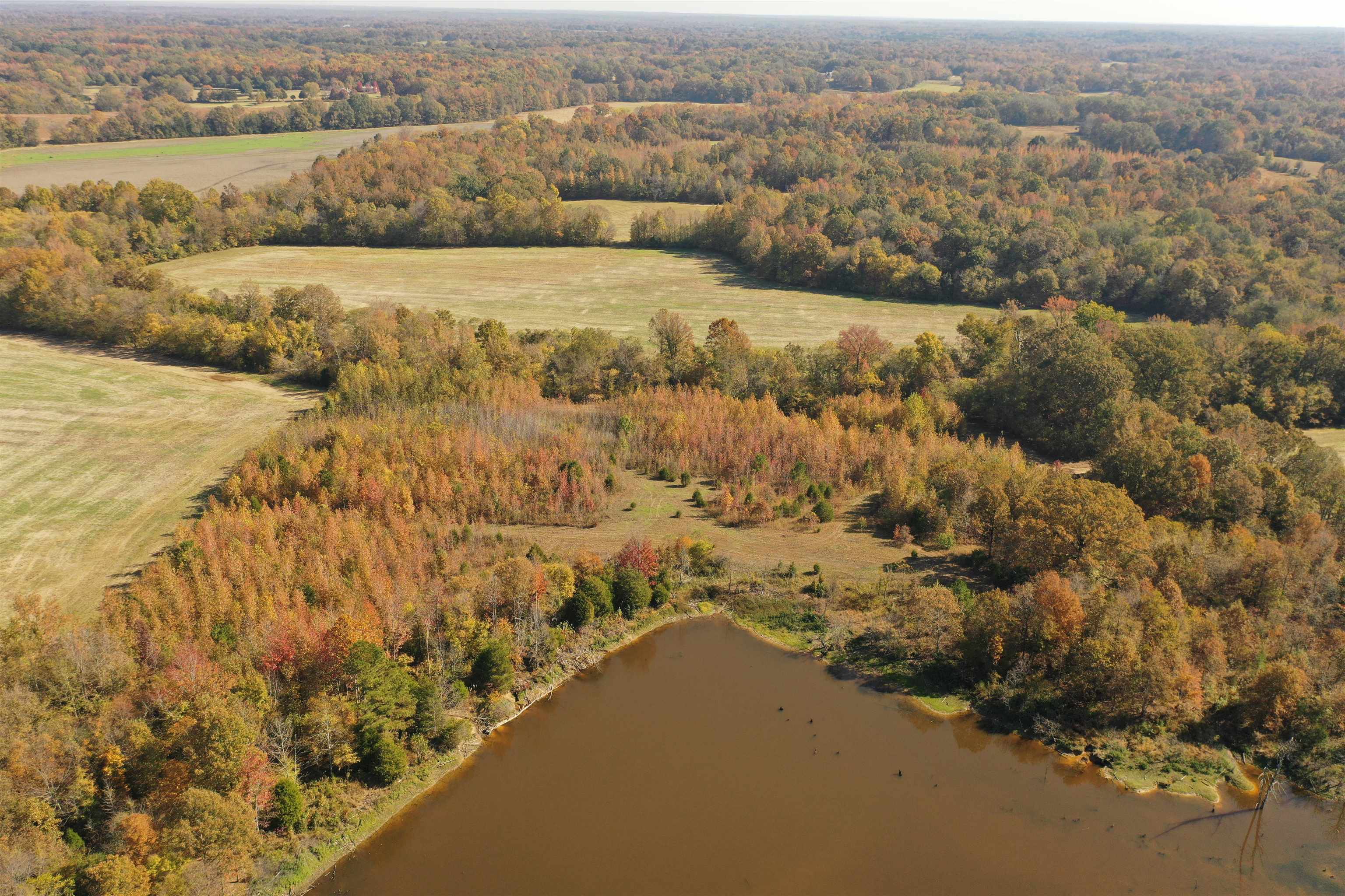Mcfadden Road Oakland, TN 38060 - Photo 6 of 29 a view of city and mountain