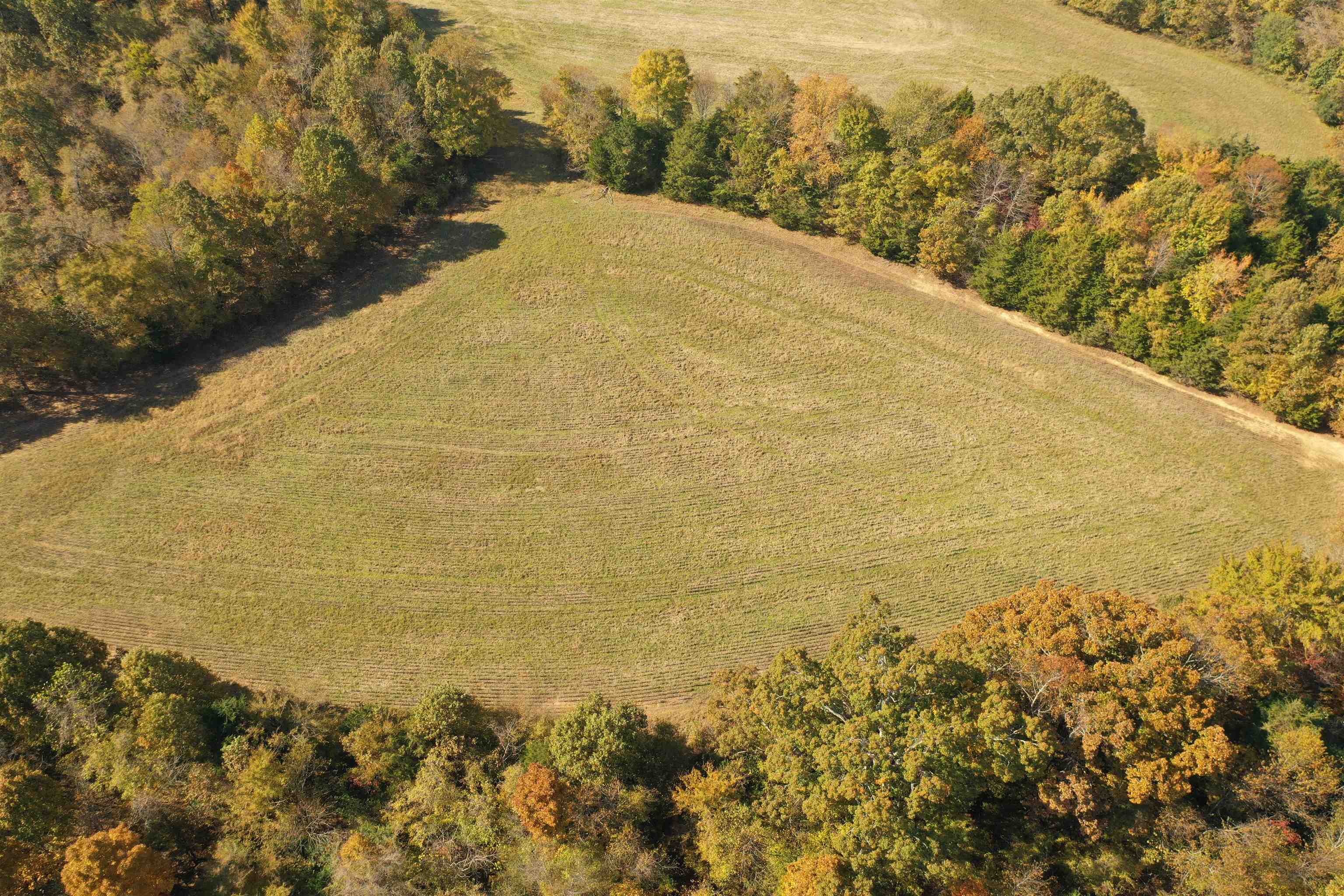 Mcfadden Road Oakland, TN 38060 - Photo 7 of 29 a view of ocean