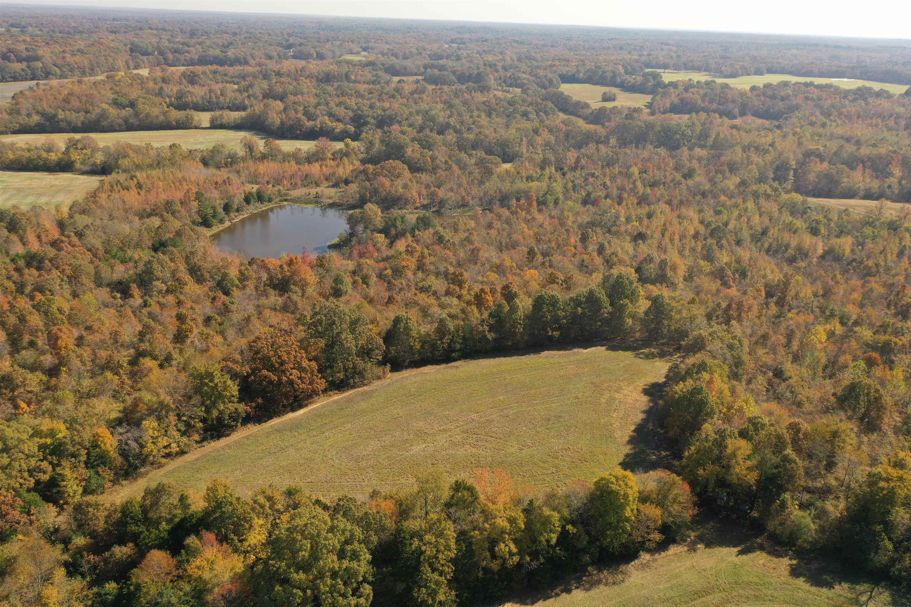 Mcfadden Road Oakland, TN 38060 - Photo 8 of 29 a view of a mountain