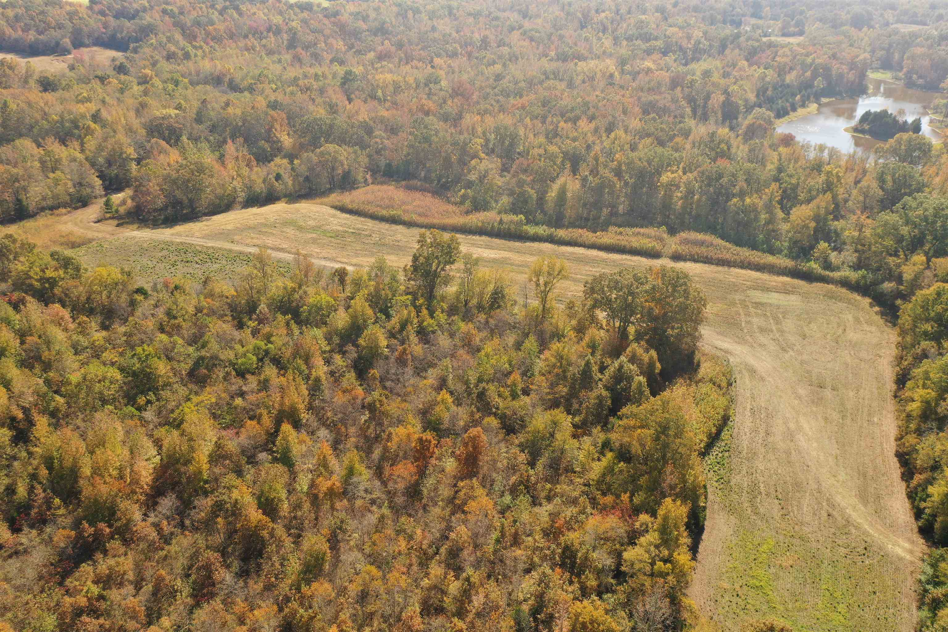 Mcfadden Road Oakland, TN 38060 - Photo 9 of 29 a bedroom with a bed