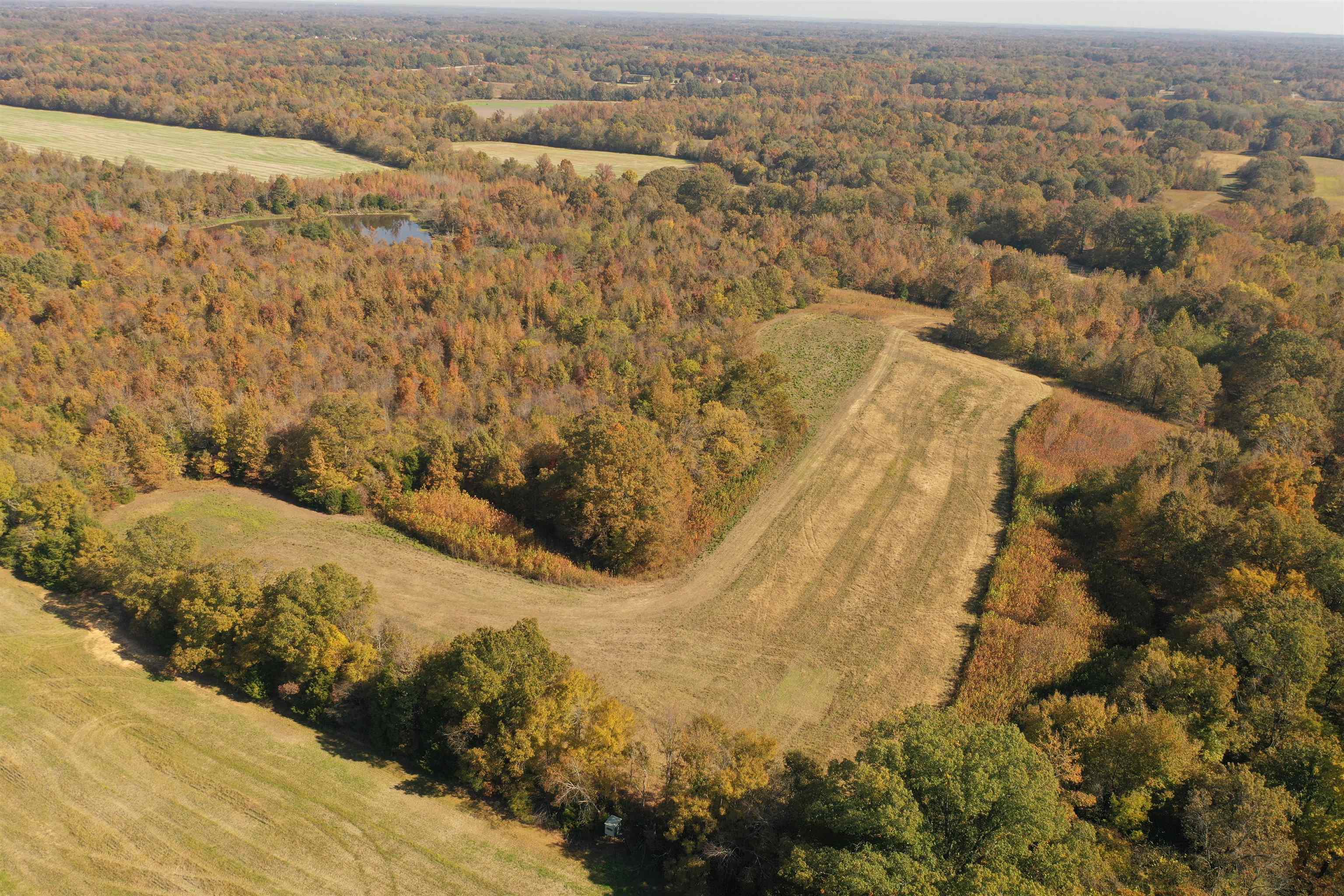 Mcfadden Road Oakland, TN 38060 - Photo 10 of 29 a view of city and mountain