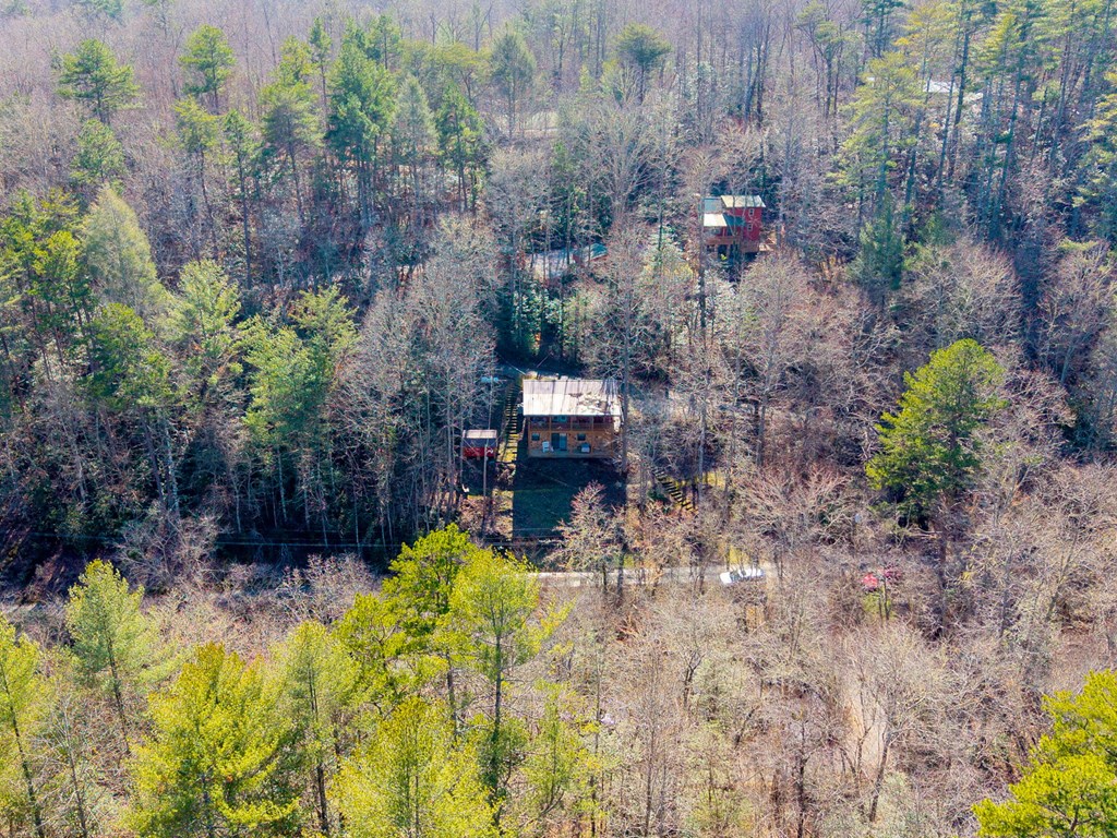 608 Hilltop Road Murphy, NC 28906 - Photo 6 of 42