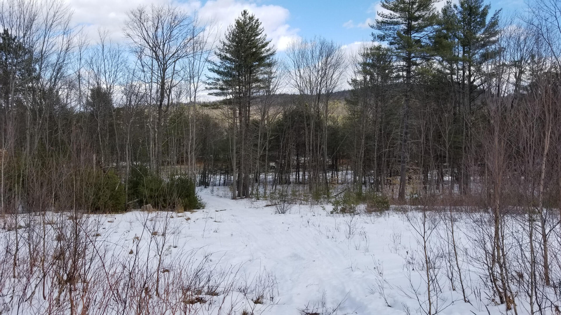 B B Old County Road Hiram, ME 04041 - Photo 2 of 15 hiram