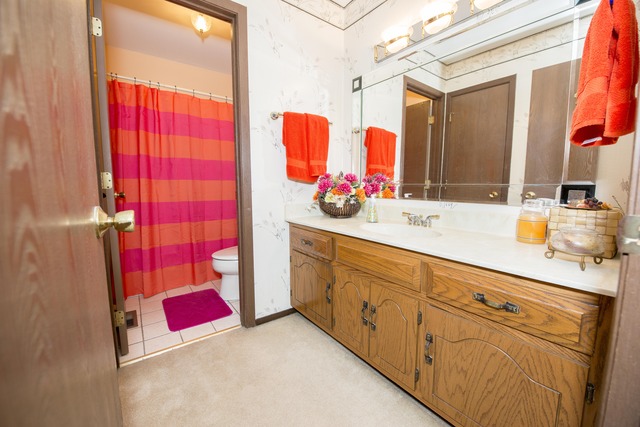 4 Wedgewood Road Matteson, IL 60443 - Photo 15 of 20 a bathroom with a double vanity sink mirror and shower