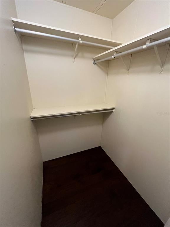 12100 Seminole Boulevard, Unit 365 Largo, FL 33778 - Photo 23 of 32 a close view of closet