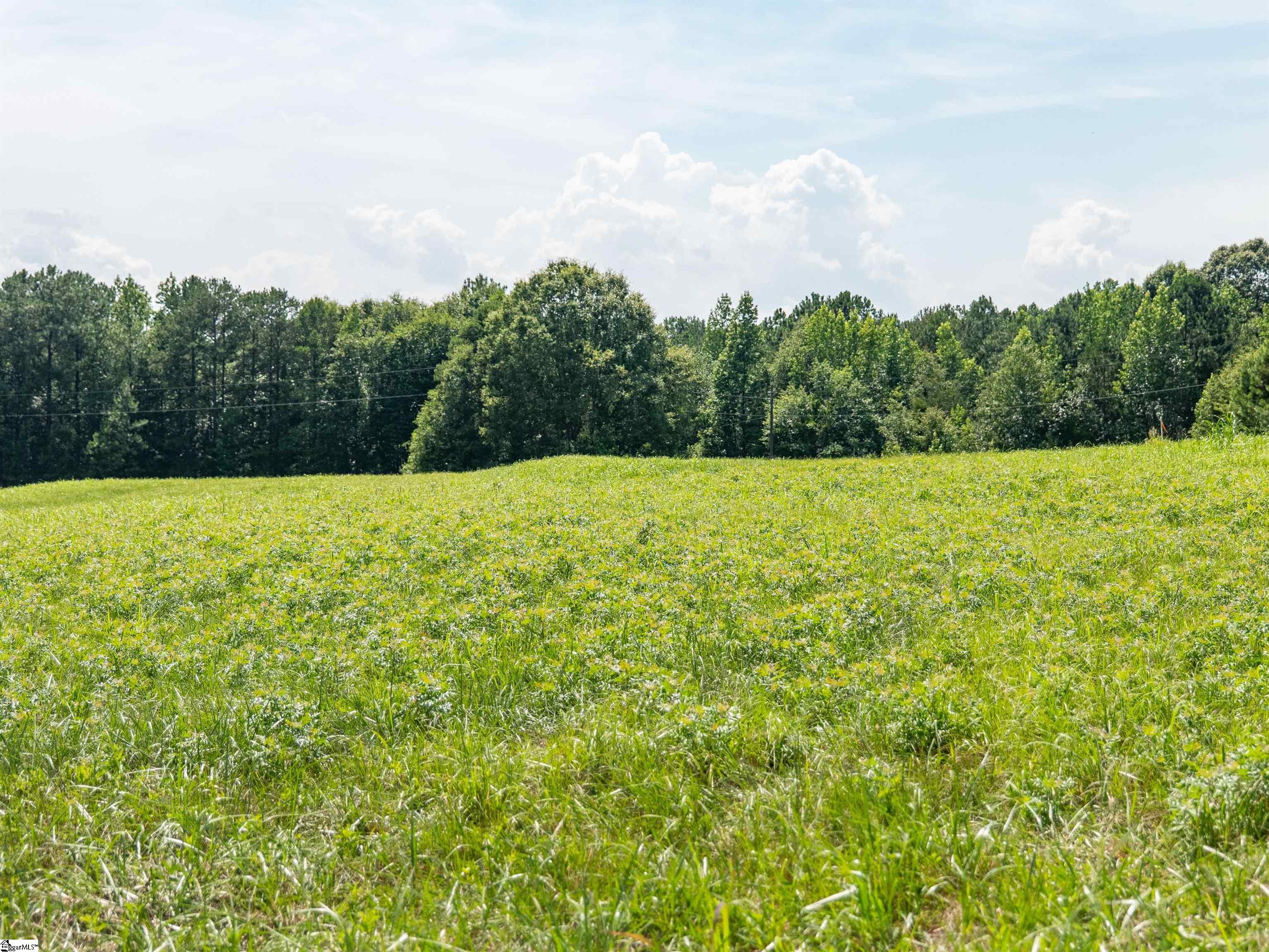 0 Cheek Road, Unit LOT 2 Gray Court, SC 29645 - Photo 20 of 23