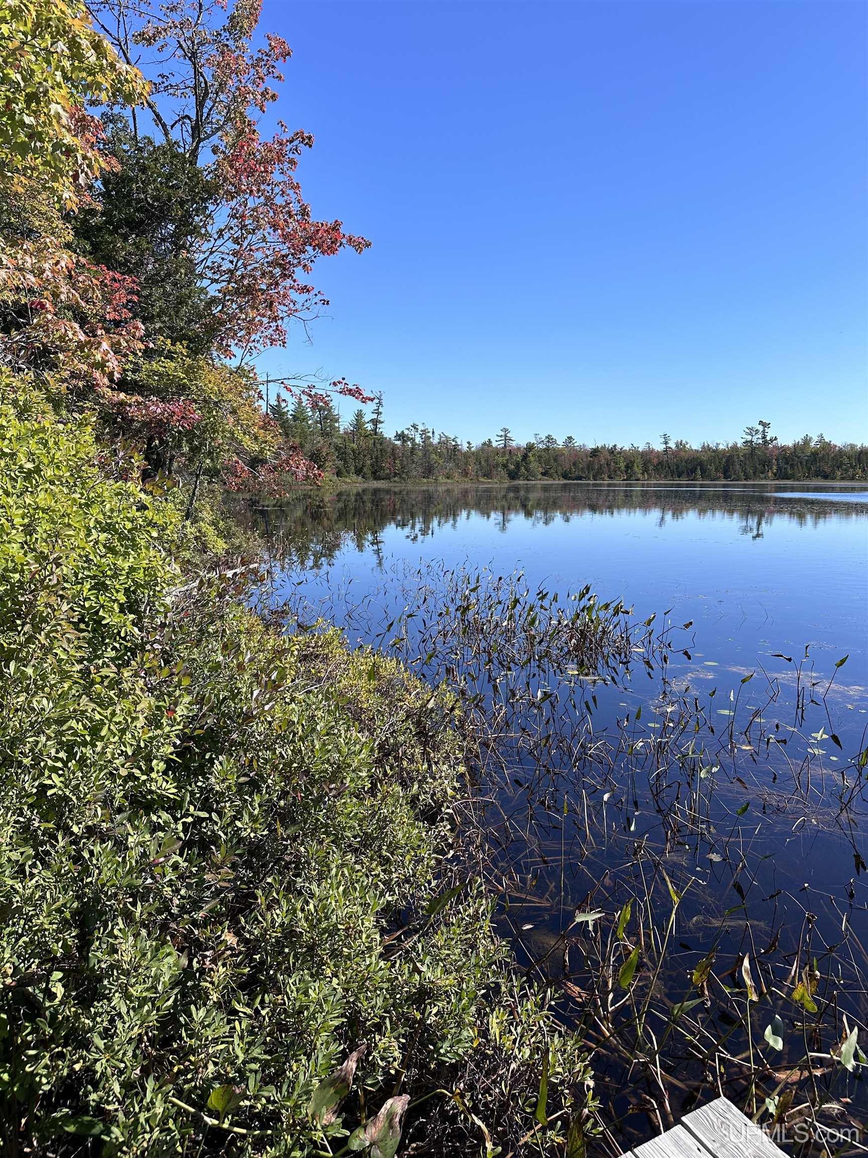 Tbd Tbd Howe Lake Road Deerton, MI 49822 - Photo 38 of 48