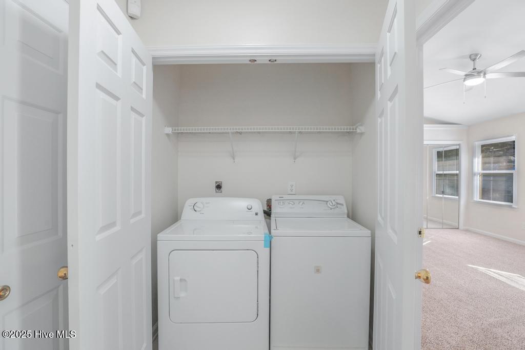 828 Shadowridge Road Jacksonville, NC 28546 - Photo 15 of 20 IMG_8501