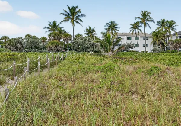 a view of a yard with palm trees