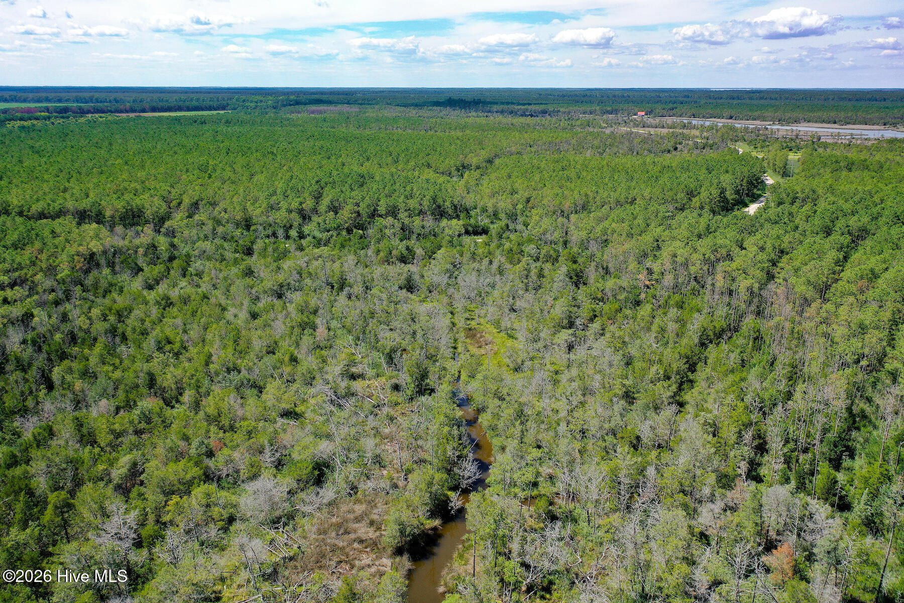 4.57-acres Meekins Road Bayboro, NC 28515 - Photo 4 of 17