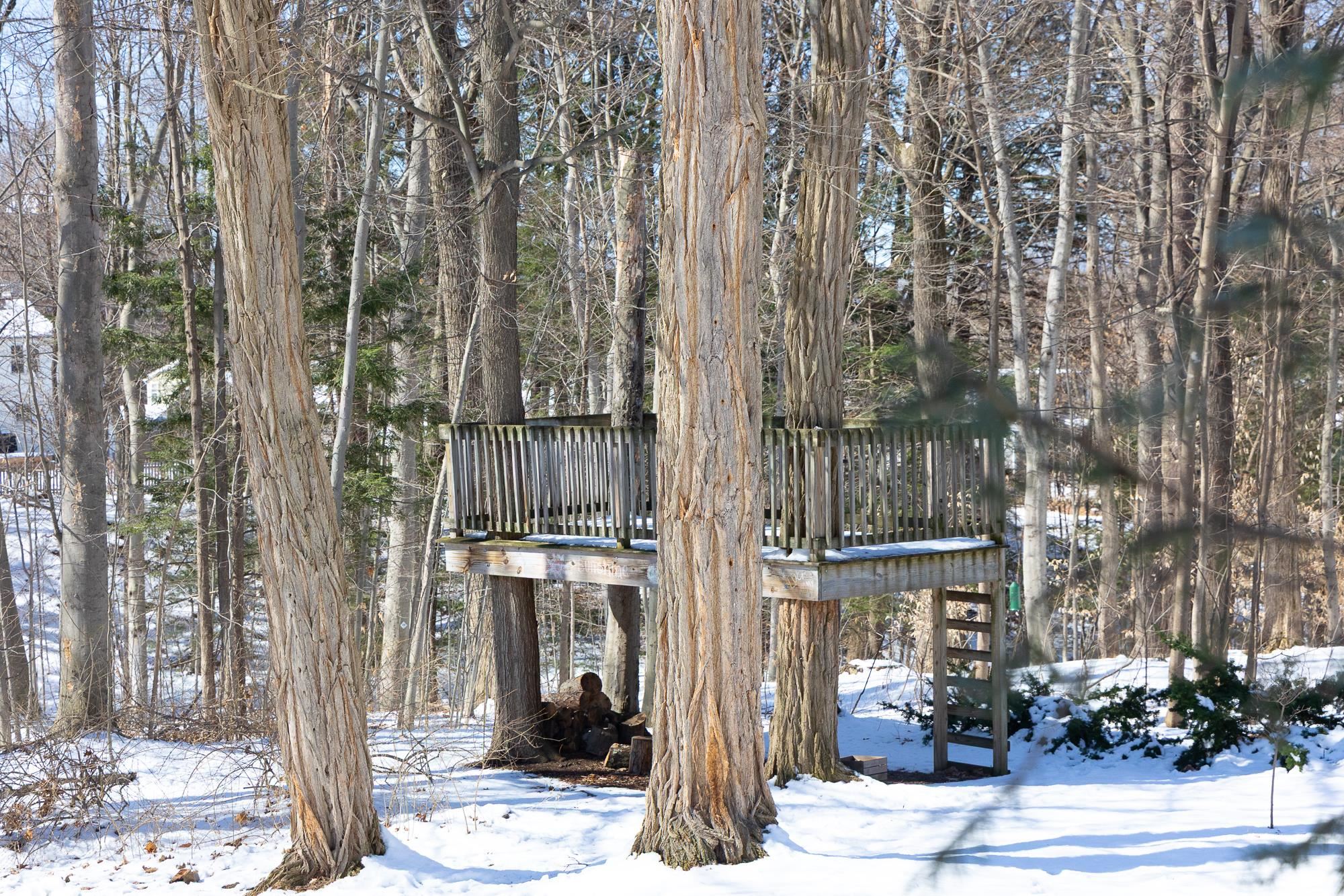 45 Crescent Road Burlington, VT 05401 - Photo 50 of 52