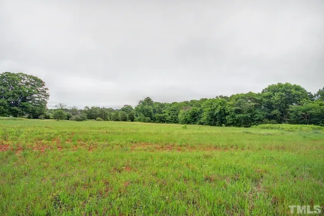 a view of outdoor space and trees
